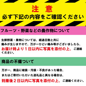 【 シャキとろ 青ネギ 】 5kg 順次発送 ねぎ