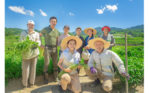 No.331 河南町新鮮アジア野菜「お試しセット」