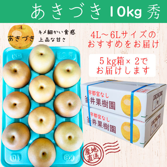 
あきづき 10kg 18～24玉 ｜ 栃木県産 宇都宮市 梨 なし あきづき フルーツ 果物　※離島への配送不可　※2024年10月上旬頃～10月中旬頃に順次発送予定
