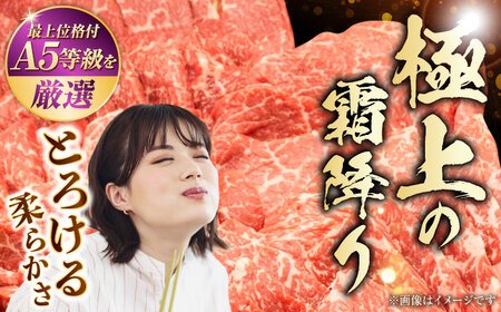 A5等級 黒毛和牛 柔らか赤身焼肉 約300g×3P 計約900g 焼肉 [AYCH094]
