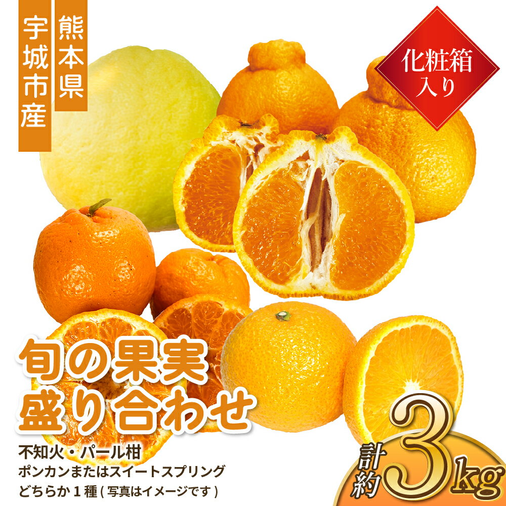 【ふるさと納税】先行予約 旬の果実盛り合わせ 化粧箱入り 3kg 3種 ※不知火・パール柑・ポンカンまたは、スイートスプリングどちらか1種 【2025年1月下旬から2月下旬発送予定】 高橋果樹園 しらぬい みかん ミカン 柑橘 熊本県産 国産