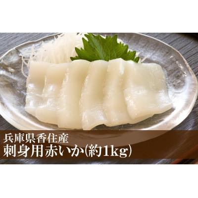ふるさと納税 香美町 赤イカ 刺身用 冷凍 兵庫県香住産 約1kg