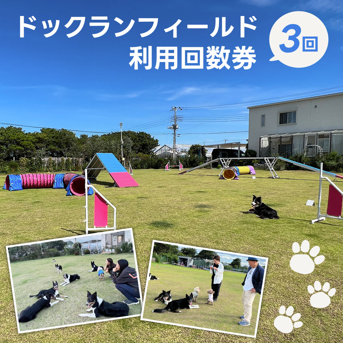 【ふるさと納税】 ドックランフィールド利用回数券（3回） ふるさと納税 ドッグスポーツ 利用券 チケット 犬 イヌ いぬ ドッグラン どっぐらん dog sports dog run アジリティー オビディエンス ノーズワーク 千葉県 白子町 送料無料 SHAI006