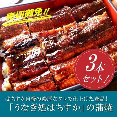 ふるさと納税 碧南市 三河一色産 鰻の蒲焼き 3尾 計540g以上 うなぎ処はちすか H026-038