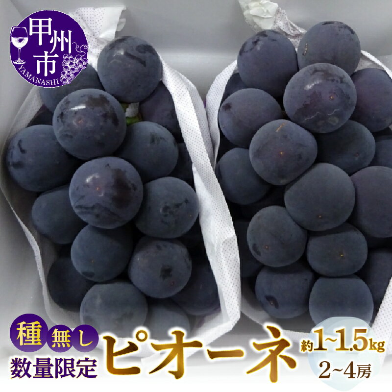 【ふるさと納税】 ピオーネ 種なし 2026年 先行予約 選べる 容量 約1kg～約1.5kg 2～4房 甲州市産 期間限定 数量限定 冷蔵 クール 黒ブドウ 黒系 ぶどう 果物 くだもの フルーツ 8月～9月 発送 山梨県 甲州市 贈答 ギフト 家庭用 （MG）