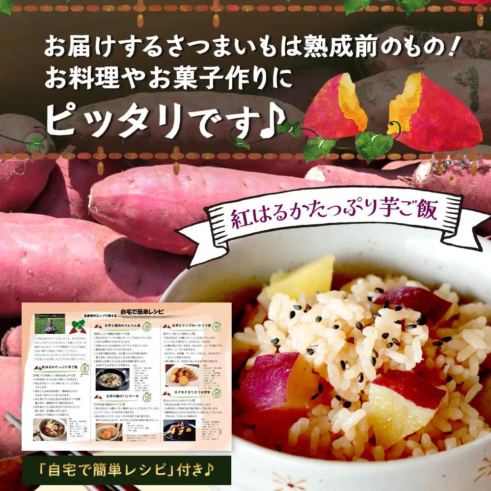 【先行予約：2026年9月中旬配送～】掘りたて さつまいも 紅はるか 5kg Mサイズ (おすそ分け袋／自宅で簡単レシピ付き）FR-204 | 秋の味覚 2026年秋収穫 新物 さつまいも サツマイモ