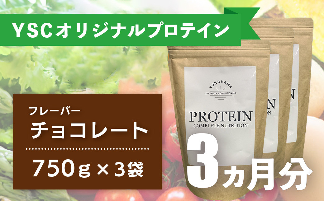 
YOKOHAMA STRENGTH & CONDITIONING PROTEIN COMPLETE NUTRITION　3ヶ月分 ホエイプロテインパウダー チョコレート風味 ドリンク メンテナンス ホエイ 健康 体 維持
