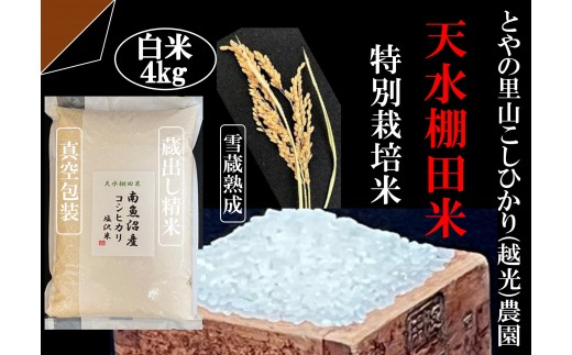 「とやの里山継承プロジェクト対象」【天水棚田米】南魚沼塩沢産コシヒカリ　精米4kg全1回【銘柄米 ブランド米 精米 こしひかり コシヒカリ 魚沼産 新潟米 産地直送 お米 米 こめ コメ ご飯 御飯 ごはん】