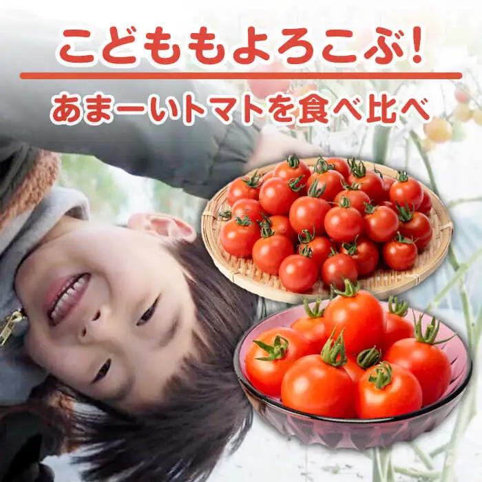 ミディアムトマト 3kg（1.5kg×2箱）《壱岐市》【ISLAND FARM】[JFL002]