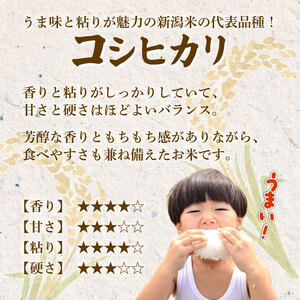 【先行予約】令和8年産 無洗米 コシヒカリ 4kg コシヒカリ コシヒカリ kwsMKH