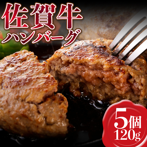 【佐賀牛】ハンバーグ120g×5個 B-1011
