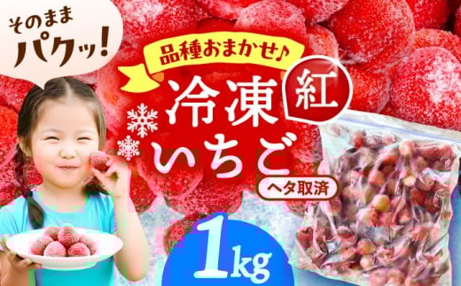 【1kg】 冷凍苺 果物 フルーツ 紅ほっぺ やよい姫 かんな姫 愛西市 / くぼ苺農園 【配達不可：離島】 [AECJ025]