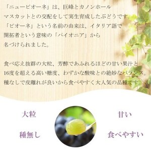【2025年8月発送】岡山県産　ニューピオーネ　400g×2房【配送不可地域：離島・北海道・沖縄県】【1365854】
