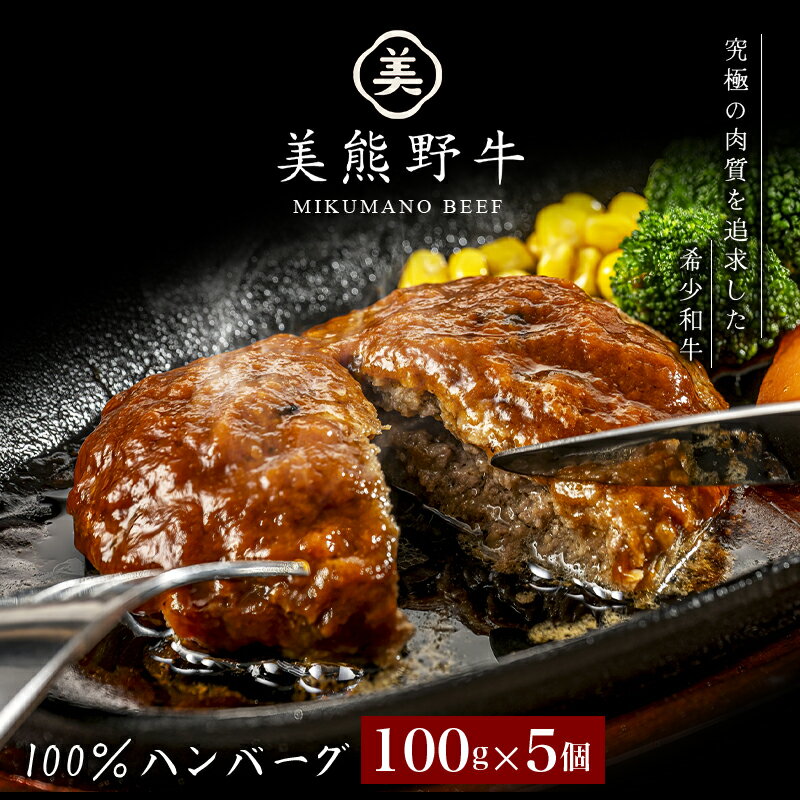 【ふるさと納税】 ハンバーグ 美熊野牛 100％ ハンバーグ 100g×5個 牛肉 肉 ハンバーグ 惣菜 お惣菜 ブランド牛 和牛 黒毛和牛 国産牛 霜降り 赤身 おかず 小分け 簡単調理 人気 希少 おすすめ 三重県 熊野市 黒毛和牛の岡田 送料無料