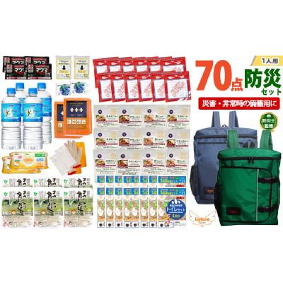 ふるさと納税 兵庫県 2人用  70点防災グッズ 豊岡産 ネイビー&amp;グリーン