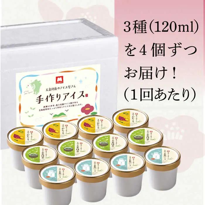 【全3回定期便】アイス3種 計12個[RAX017] アイス スイーツ お菓子 定期便 アイス スイーツ お菓子 定期便 アイス スイーツ お菓子 定期便九州 長崎