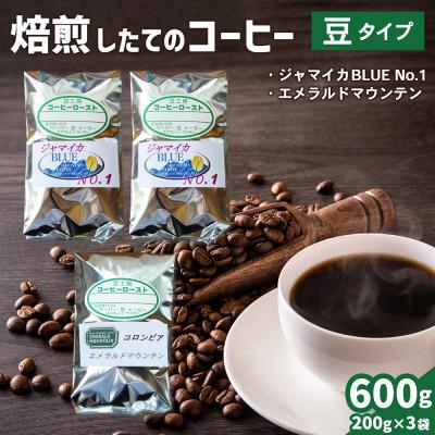 ふるさと納税 伊勢原市 コーヒー豆3袋(ジャマイカBLUE/エメラルドマウンテン)