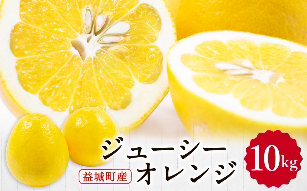 ジューシーオレンジ 約10kg 柑橘類 晩柑 熊本県産 【2026年3月上旬～4月下旬まで発送予定】