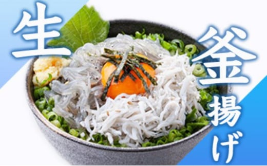 生しらす 釜揚げしらす 計440g 120g × 2 パック 100g × 2 パック シラス 魚 釜揚げ 生 湘南しらす sirasu じゃこ ちりめん しらす干し 江の島しらす イワシ 小分け 便利 手軽 海鮮 新鮮 魚介 魚貝 小魚 冷凍 セット 贈答 江の島 江ノ島 とびっちょ 神奈川 湘南 藤沢