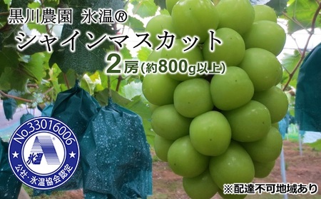 早期受付 ぶどう 氷温(登録商標) シャインマスカット 2房（1房800g以上） マスカット ブドウ 葡萄 岡山県産 国産 フルーツ 果物 ギフト 黒川農園 果物類 