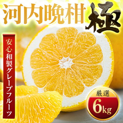 【ふるさと納税】【太陽をたっぷり浴びた】河内晩柑【極】6kg【C49-61】【1509764】