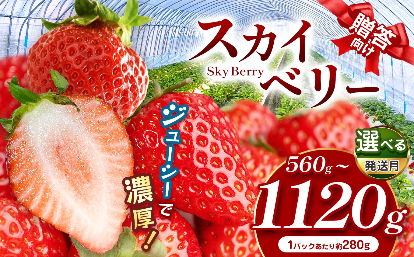 
                  【先行予約】発送月 選べる スカイベリー（贈答向け）いちご ギフト｜280g × 2p 280g × 4p 1月 2月 3月 贈答品 プレゼント 新鮮 完熟 いちご 旬  苺 高級 産地直送 大容量 人気 高評価 真岡市 栃木県 送料無料
                