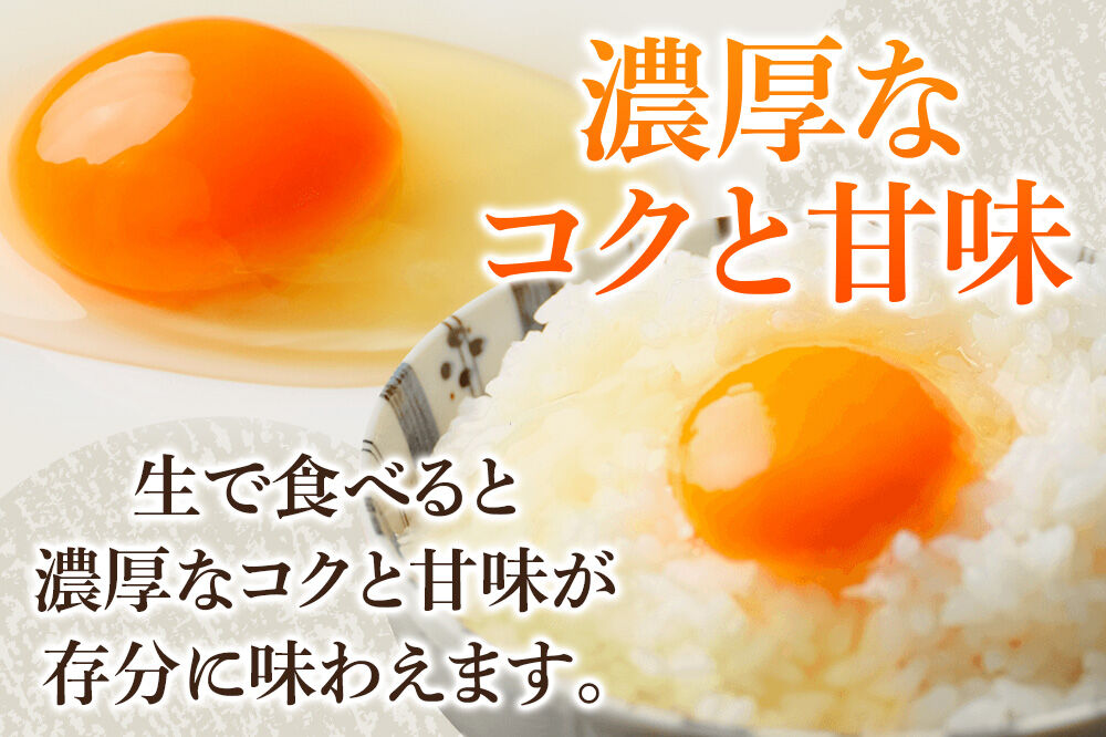 あやめ卵 50個入 【農場HACCP認証】 【JGAP認証】 [50ヶ 50ケ 50コ 玉子 タマゴ たまご 鶏卵]