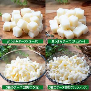 よつ葉チーズ&バターセットA（8種） よつ葉 チーズ バター セット 詰め合わせ ギフト セットA 8種 北海道産 乳製品 贈答用 お取り寄せ グルメ F21P-1358