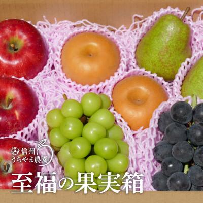 ふるさと納税 長野県 信州うちやま農園のフルーツ詰め合わせ【秋に届く】至福の果実箱B(3〜6種類) シャインマスカット入り