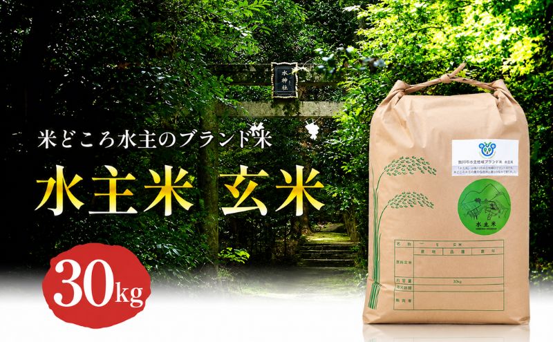 令和8年産新米エコファーマー認定農家の地域ブランド米(水主米) 玄米30kg お米 白米 ライス ご飯 ブランド米 銘柄米 お弁当 おにぎり 食卓 産地直送 主食 炭水化物 和食 国産 日本産 エコファーマー認定農家 