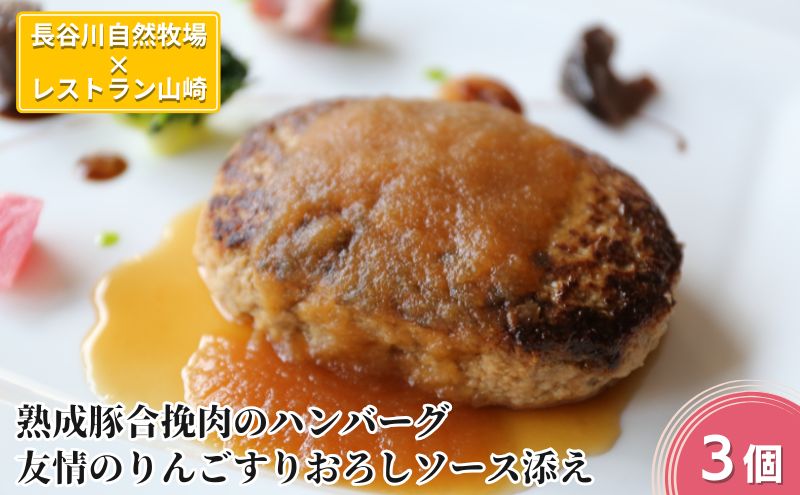 ハンバーグ 熟成豚合挽肉のハンバーグ 3個 友情のりんごすりおろしソース添え セット 湯煎 温めるだけ レトルト 小分け 個包装 お試し 簡単 簡単調理 惣菜 おかず お弁当 弁当 時短 肉 お肉 熟成肉 豚肉 ギフト 贈答 冷凍 長谷川自然牧場産