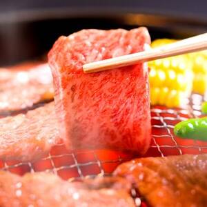 【和牛セレブ】神戸牛焼肉(焼きすき)ブリスケスライス300g【配送不可地域：離島】【1620519】