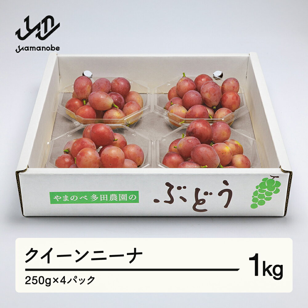 【ふるさと納税】 《先行予約》2026年 山形県産 クイーンニーナ ダイヤパック 250g×4パック やまのべ多田農園のぶどう 送料無料 tn-buqnd4