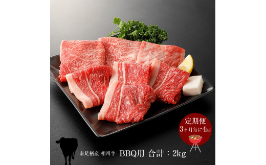 【定期便：3ヶ月毎に4回】相州牛（BBQ用セット）500g【合計２kg】 【 牛肉 お肉 ブランド牛 神奈川県 南足柄市 】