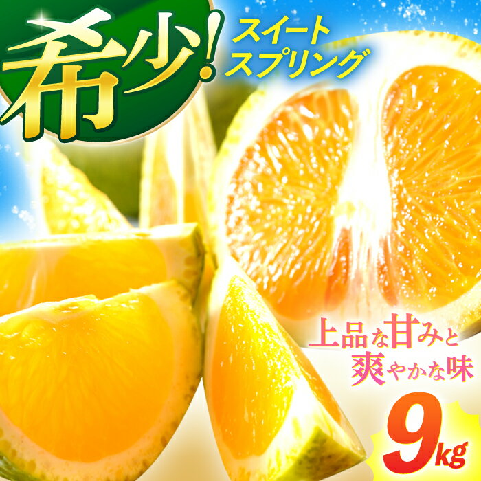 【ふるさと納税】【数量限定希少種柑橘！】スィートスプリング 約9kg【長崎ぶんたんの会】[OAF007] / みかん ミカン 蜜柑 フルーツ 果物 甘い 数量限定 柑橘 デザート すいーとすぷりんぐ スイートスプリング 珍しい おいしい かんきつ くだもの さっぱり サラダ 爽やか