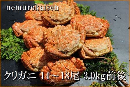 ＜12月22日決済分まで年内配送＞【北海道根室産】クリガニ14～18尾(計3kg前後) A-57062