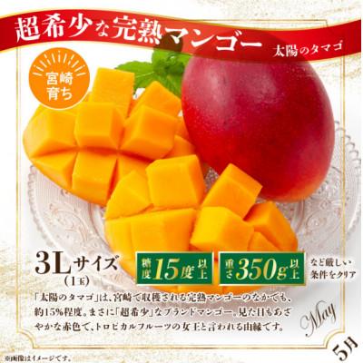 ふるさと納税 宮崎市 【発送月固定定期便】特選南国くだもの定期便全7回 |  | 02
