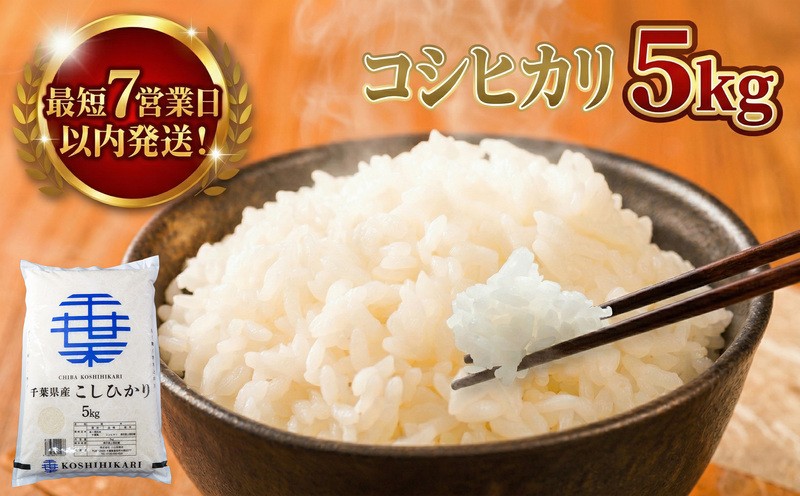 
                  【スピード発送】 コシヒカリ 5kg 一等米 白米 令和7年産 米 お米 5kg 米5kg 【お米マイスター厳選】 千葉県産 こしひかり コシヒカリ 令和7年産 R7年産 2025年産 精米 千葉県 香取市 OYD007
                