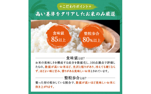 【定期便】令和6年産 新米 精米 ブランド米「いざ初陣」5kg（1kg×5個を3カ月）食味値85以上 整粒歩合80%以上