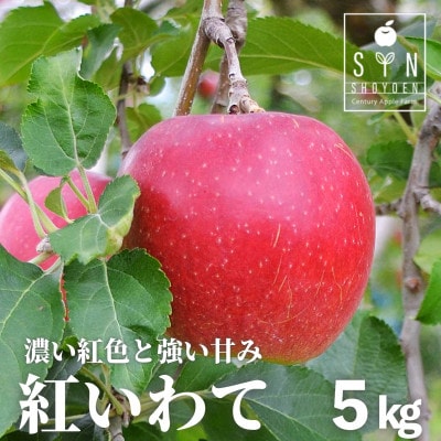 りんご 紅いわて 5kg 松陽園 樹上 完熟 農家直送 岩手県 遠野市 先行予約【配送不可地域：離島】【1537041】