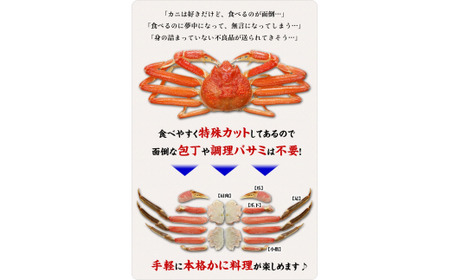 《順次発送》【お刺身OK】甲羅組のカット生ずわい蟹 700g（総重量950g前後）【甲羅組】 [甲羅組 敦賀 かに カニ 蟹 ズワイガニ ずわいがに 刺し身 生 生食可 むき身 殻むき不要 しゃぶしゃ