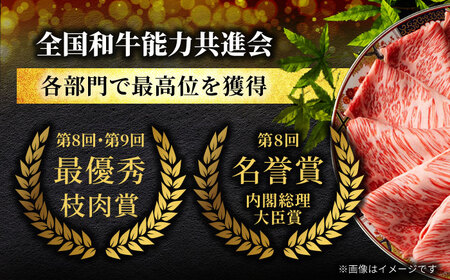 A5ランク 飛騨牛 しゃぶしゃぶ用 600g（300g×2）【有限会社マルゴー】牛肉 和牛 国産 [MBE066]