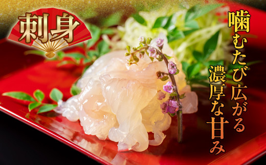 （冷蔵） 伊勢志摩産 活伊勢海老 ２尾入 約500g ／ 丸池 伊勢えび イセエビ 海の幸 三重県 南伊勢町