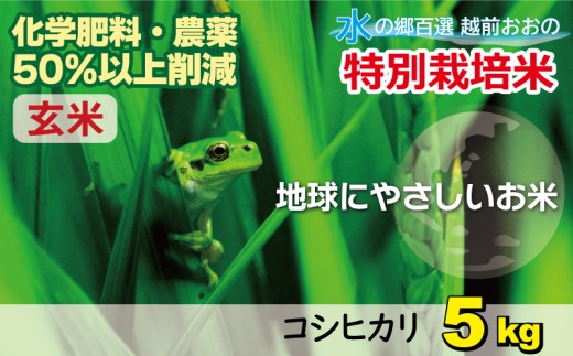 【令和7年産 新米】こしひかり 5kg【玄米】減農薬・減化学肥料 「特別栽培米」