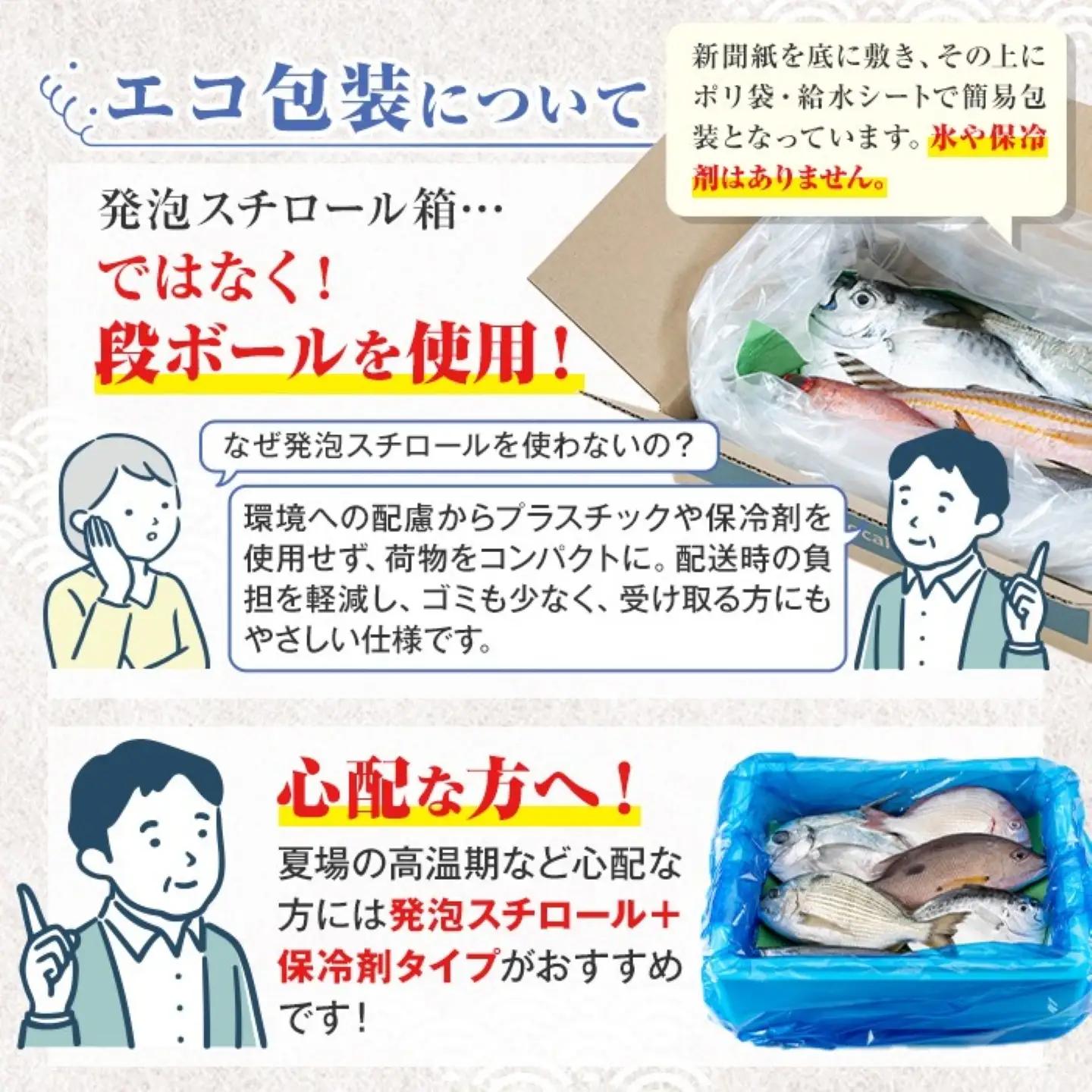 【A78004】ロコフィッシュ 地魚 下処理済 鮮魚 ボックス 約4～5kg エコ包装 鮮魚BOX 【昌徳丸】