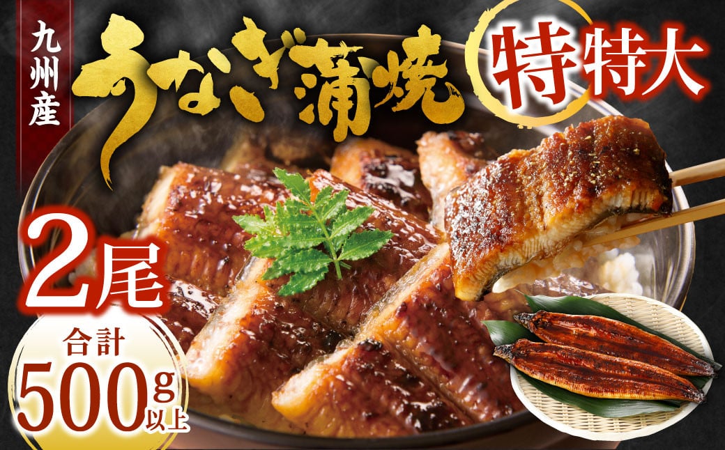 
九州産 うなぎ蒲焼 特特大2尾 (1尾あたり250～266g) 合計500g以上

