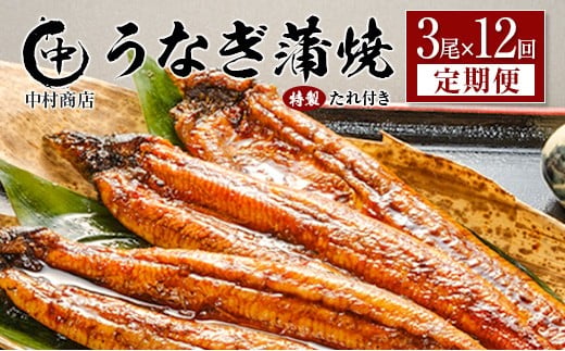 ＜定期便＞3尾×全12回 国産 うなぎ 蒲焼 有頭 計6.5kg以上（1回あたり 計543g以上） たれ付き 宮崎県産 鰻 中村商店