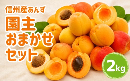【2027年先行予約】あんず 園主おまかせ セット 計約2kg | 杏子 アプリコット 昭和 信州大実 さつき 幸福丸 平和 千曲市産 長野県 信州
