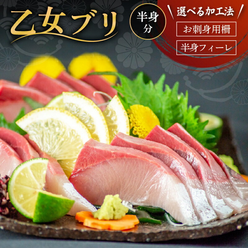 【ふるさと納税】 乙女 ブリ 刺身 用 700g ～ 1000g 神経締め 冷蔵 新鮮 ブランド 鰤 ぶり しゃぶ 切り身 乙女ブリ 高知県須崎市 須崎市 鰤 年末 正月（下処理有）乙女鰤 高知