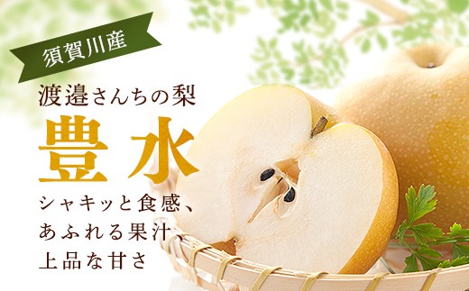 
                  須賀川市産 渡邉さんちの梨 豊水 5kg（12～16玉） F7X-0929
                